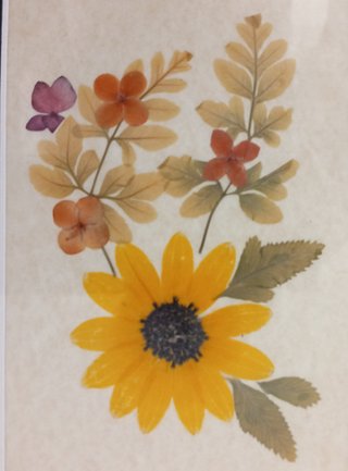 Pressed Flower Framed Picture
