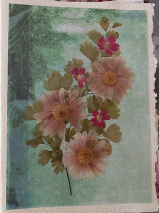 Pressed Flower Picture