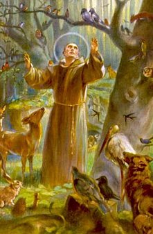 St. Francis Pic.